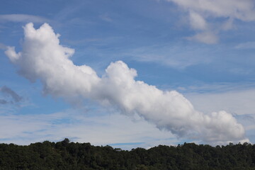white smoke plume or line of clouds above dense rain forest against blue skies (sky)