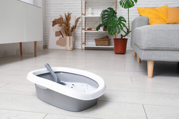 Plastic litter box for cat on floor in living room