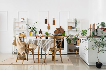Dining table, chairs, houseplant and white counters in interior of modern kitchen