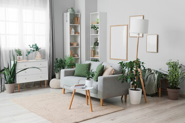 Interior of modern living room with sofa, chest of drawers, coffee table and houseplants