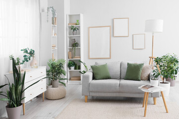 Sofa, coffee table and houseplants in interior of living room