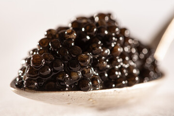 Caviar ruso