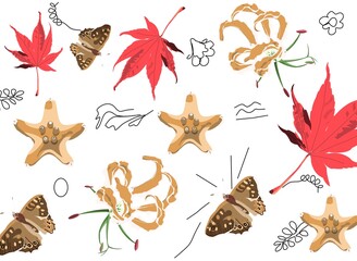 butterflies and flowers