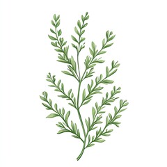 Obraz premium Wormwoos Plant Leaf, Generative AI