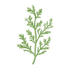 Fototapeta premium Wormwoos Plant Leaf, Generative AI