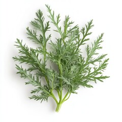 Wormwoos Plant Leaf, Generative AI