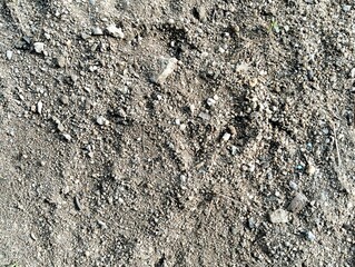 Dirt soil texture close-up background.