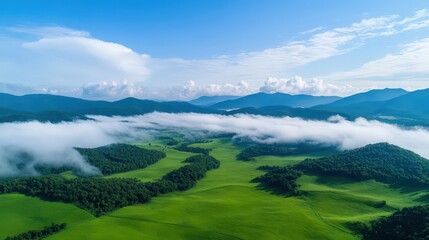 Obraz premium The sky is blue and the clouds are white