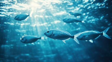 Naklejka premium A serene underwater scene featuring a school of fish swimming through sunlit water.