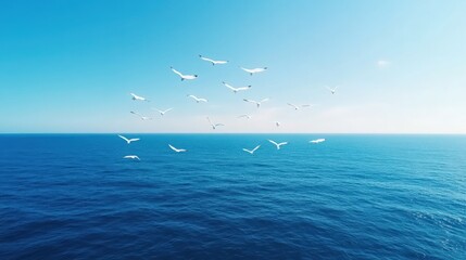 Fototapeta premium A flock of seagulls flying over the ocean