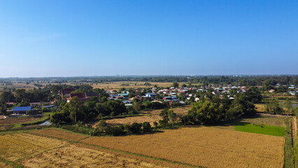 aerial view of the countryside and golden rice field