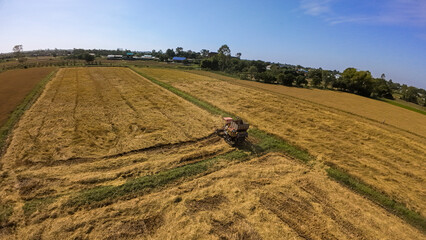 aerial view of harvest machine gathering rice