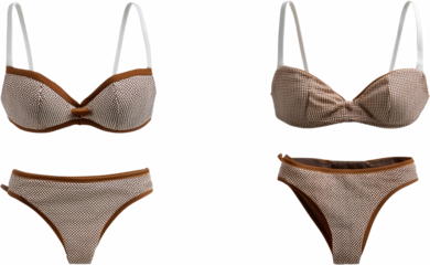 Brown and Beige Rhinestone Bikini Luxury Swimsuit Summer Fashion Beachwear