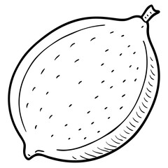 food cartoon object food yellow lemon