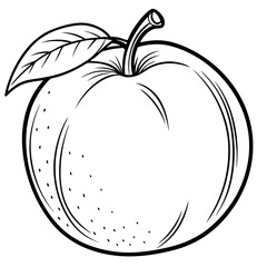  fresh nectarine fruit