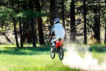 Fototapeta premium Motorcyclist jumps through grassy terrain in a forest during a sunny day