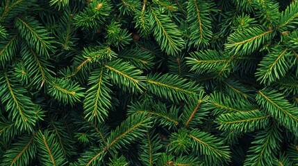 Lush green branches arranged in a seamless pattern to evoke a New Years mood