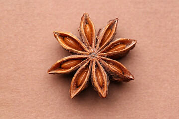 Aromatic star anise on color background