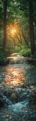 There is a stream running through a forest with trees