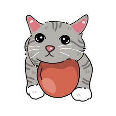 Cute cat with gray fur