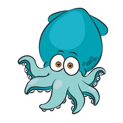 squid picture, general use picture, and very beautiful.