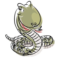 snake picture, general use picture, and very beautiful.