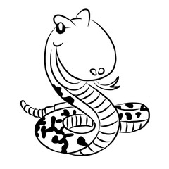 snake picture, general use picture, and very beautiful.