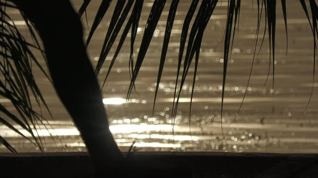Silhouette of coconut leaves by the beach at sunset, with people passing by, bokeh in the water 
