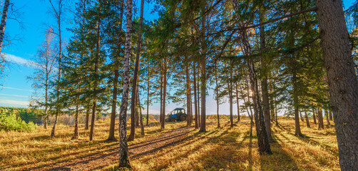 tractor in autumn forest