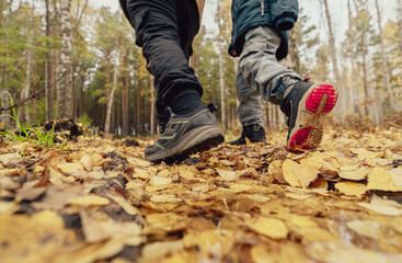 children walking in autumn forest