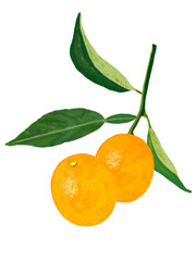 キンカン（葉付き）