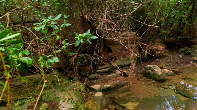 Hermosos barranco donde se sit&uacute;a la peque&ntilde;a fuente del piojo en cirat