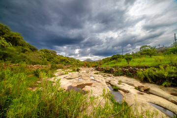 Landscape in the low deciduous forest with a dramatic sky full of gray clouds, at Rancho Los Cardos in Monte Escobedo, Zacatecas