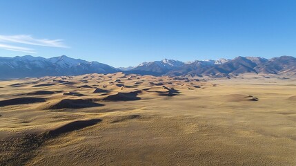 Aerial drone shot of a vast and remote desert landscape featuring undulating sand dunes against a clear bright blue sky  The scene exudes a sense of tranquility solitude and vast untouched beauty