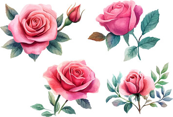 Watercolor Pink Rose Clipart,Soft and Classic Floral Art