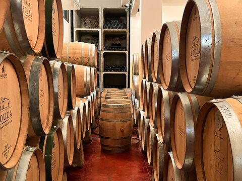 montevideo, uruguay - October 31 2022: wine is resting in wooden oak wine barrels in the cellar of a winery