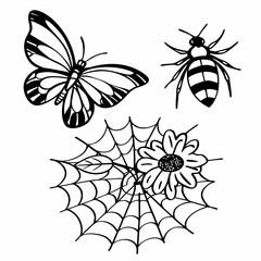 set of insects collections illustrations vector art isolated white background 