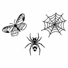 set of insects collections illustrations vector art isolated white background 