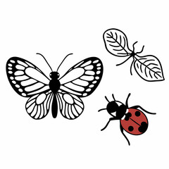 set of insects collections illustrations vector art isolated white background 
