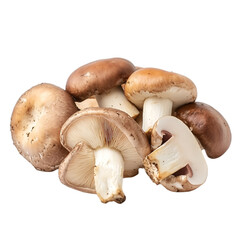 Fototapeta premium Mushroom PNG cutout isolated on white background.