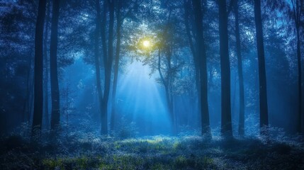 Naklejka premium Enchanted forest at night with moonlight filtering through tall trees, creating a mystical glow