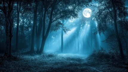 Obraz premium Moonlit forest with light beams breaking through the fog, creating a magical ambiance