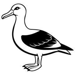 Albatross Birds Black Vector Silhouette, Vector outline, or Line art illustration isolated on a transparent background