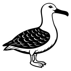 Albatross Birds Black Vector Silhouette, Vector outline, or Line art illustration isolated on a transparent background