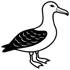 Albatross Birds Black Vector Silhouette, Vector outline, or Line art illustration isolated on a transparent background