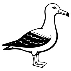 Albatross Birds Black Vector Silhouette, Vector outline, or Line art illustration isolated on a transparent background