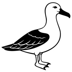 Albatross Birds Black Vector Silhouette, Vector outline, or Line art illustration isolated on a transparent background