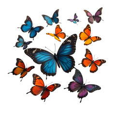 Colorful Butterflies in a Natural Setting Wildlife Photography Outdoor Environment Close-Up View Nature's Beauty and Diversity for Enthusiasts