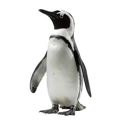 Obraz premium Penguin Portrait Arctic Region Animal Photography Natural Habitat Close-Up View Wildlife Conservation and Awareness