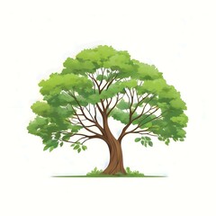 Fototapeta premium tree isolated on white